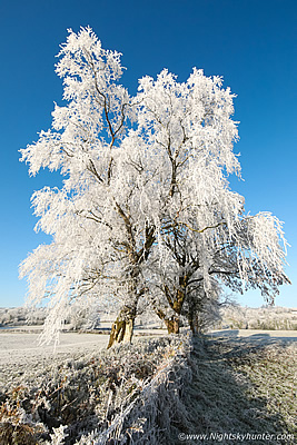 2022 Northern Ireland Storm Chasing Reports